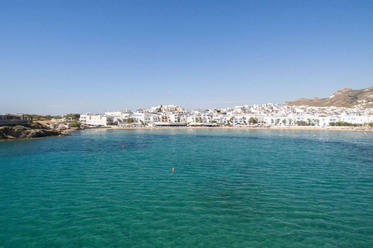 Castle View, Apartment Naxos City エクステリア 写真